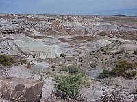 Blue mesa FP (7).JPG